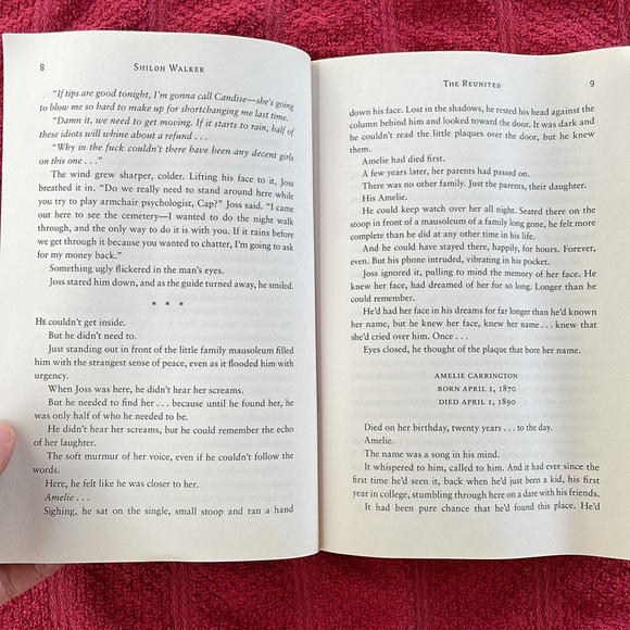 🌈2/$8 The Reunited #3 in The FBI Psychics Series - Picture 12 of 12